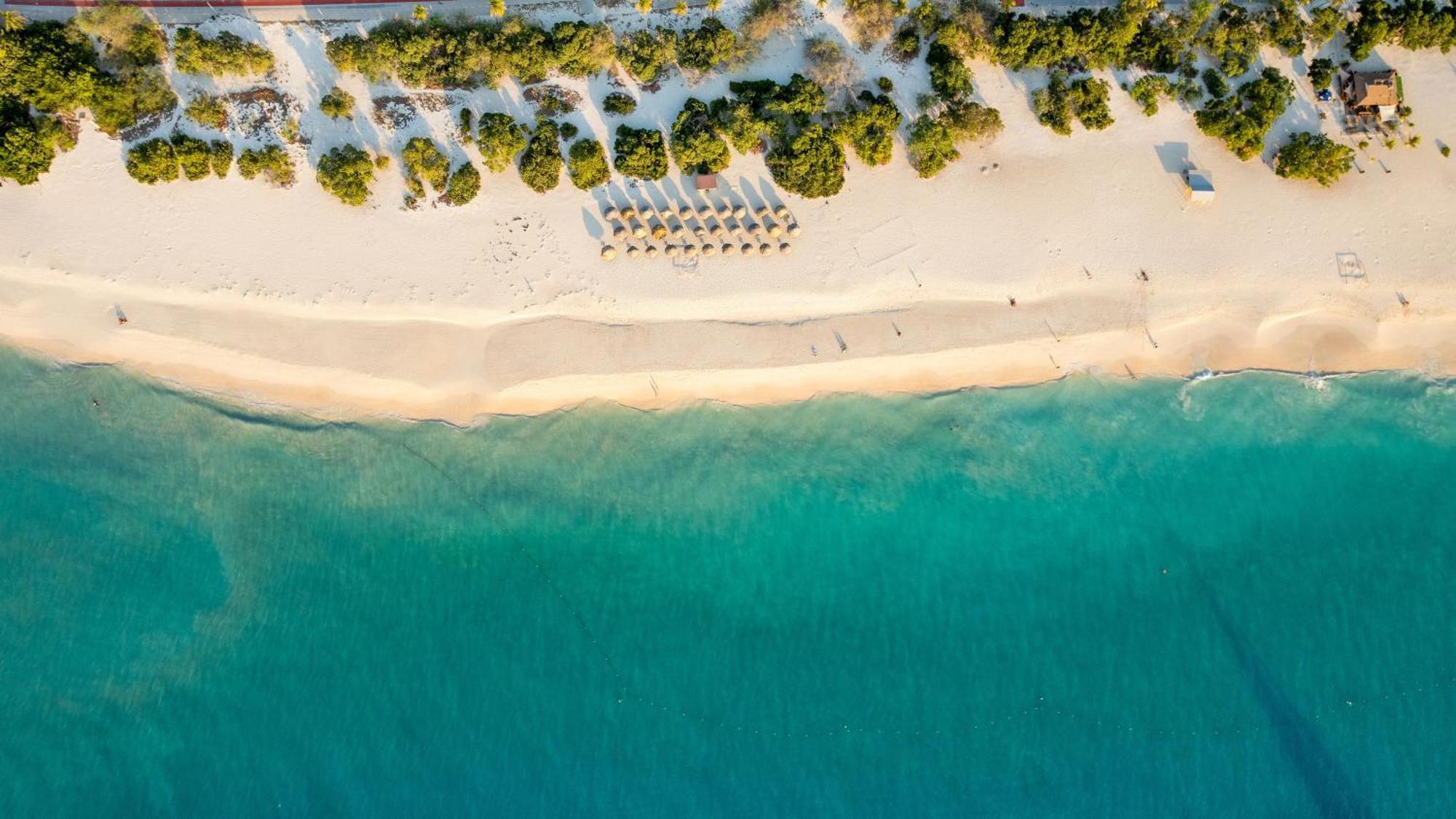 O Condominium Beachfront Residences, By Bocobay Aruba Palm Beach Extérieur photo